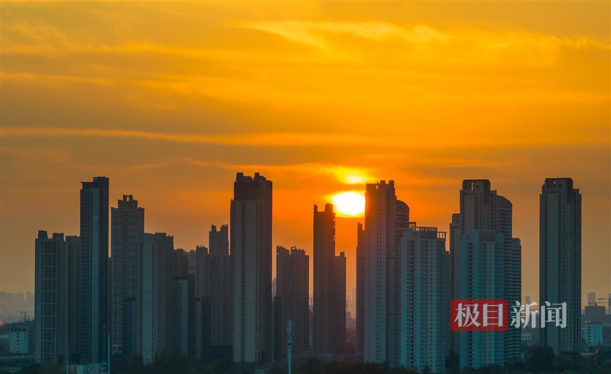 五龙争霸在线下载